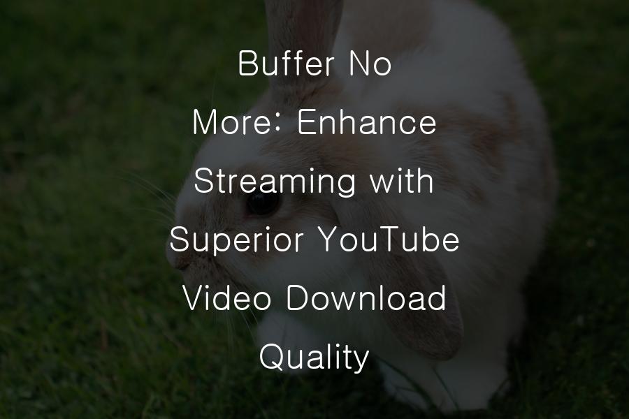 YouTube Video Download Quality