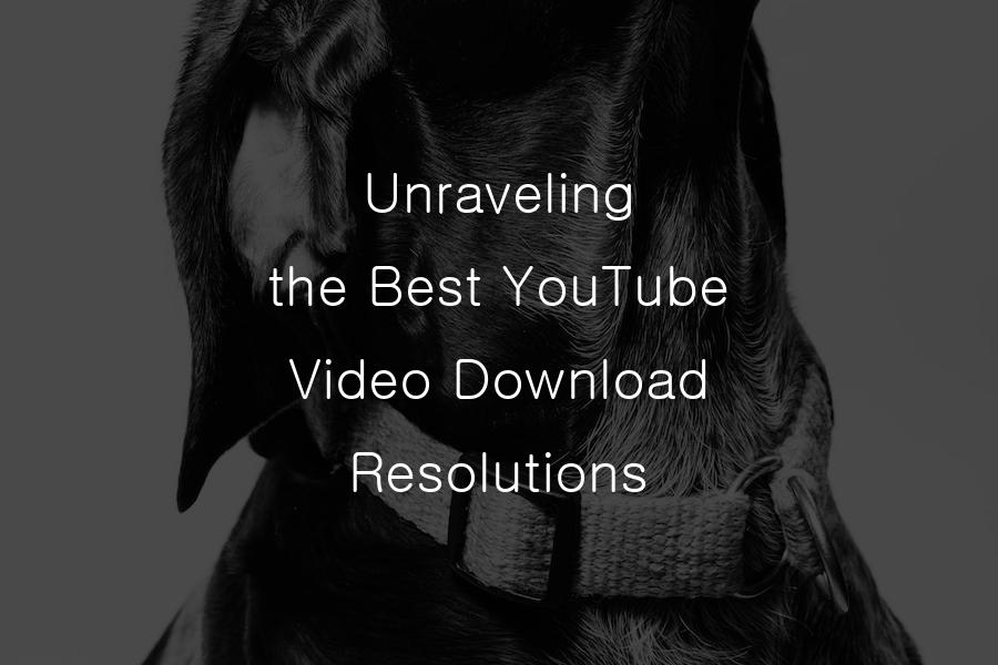 the Best YouTube Video Download Resolutions