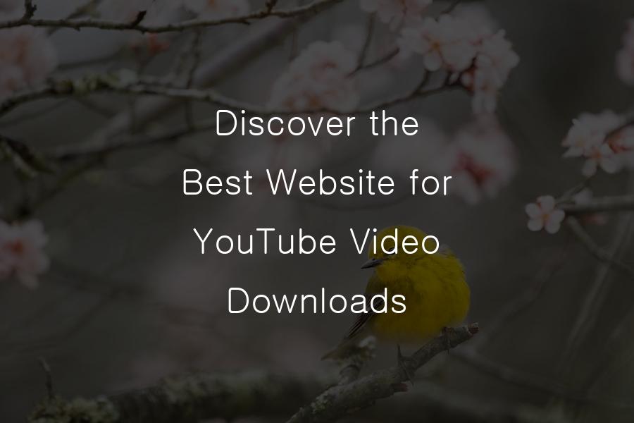 Discover the Best Website for YouTube